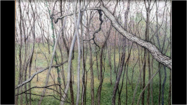 浅春2020　Early Spring 2020