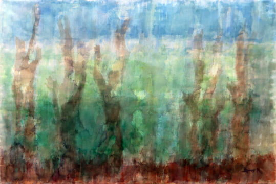 IMG_4577 のコピー 2021 樹