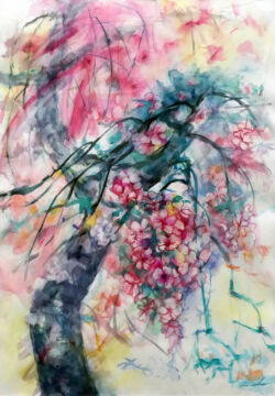 今年の桜　Ⅱ