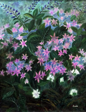 額紫陽花(七変化)