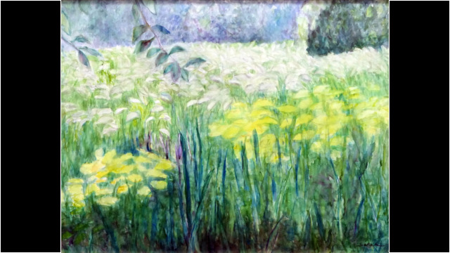 2022 草むら Grass