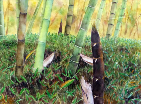 雨後の筍