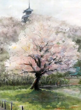 桜咲く