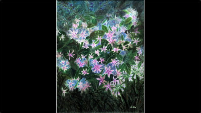 2022 額紫陽花