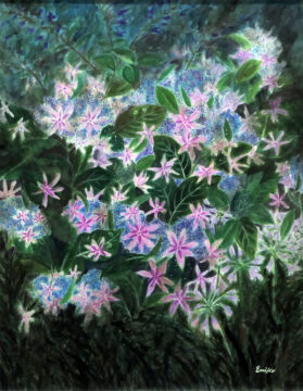 額紫陽花