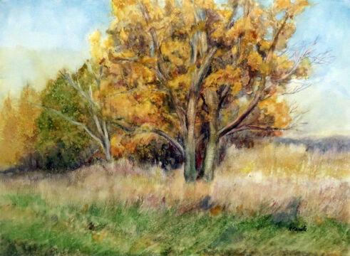 autumn color