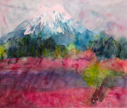 富士芝桜