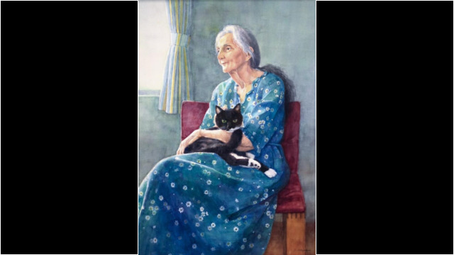 2024 ベヒジェと猫 II