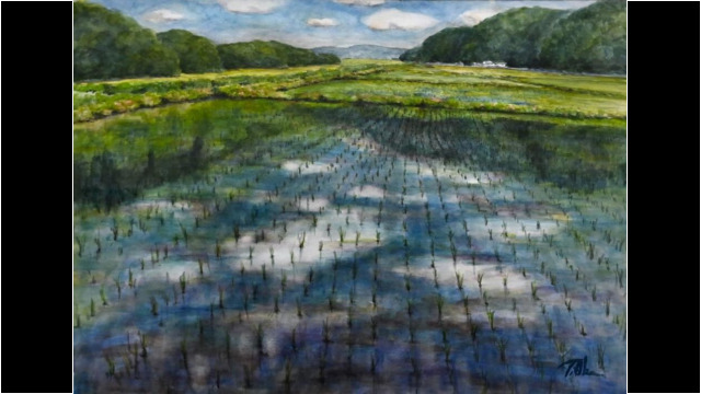初夏の田んぼ （Ⅱ）