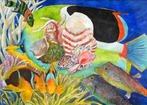 サンゴの海の仲間達