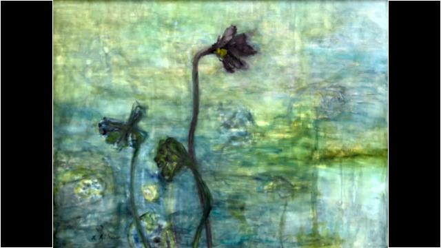 古代ハスの花