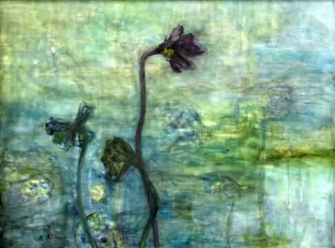 古代ハスの花