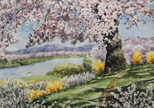 一目千本桜